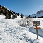 Hinter der Kaserillalm zweigt der Weg Nr. 31 ab