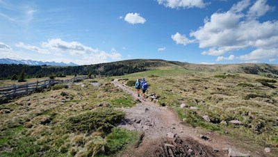 Unsere Wanderung führt durch weites Almgelände