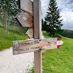 Auf dem Weg Nr. 1B zurück zur Frommeralm