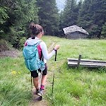 Der Rückweg vom Hörneggele erfolgt auf dem Hinweg