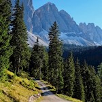 Der Rückweg von der Gampenalm erfolgt am schnellsten auf dem Hinweg