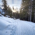 Auch im Winter führt ein schöner Wanderweg zur Masarè Hütte