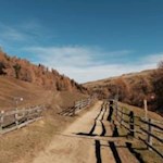 Herbstwanderung auf der Lüsner Alm