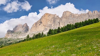 Rosengarten