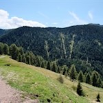 Sanft schlängelt sich der Weg zur Sunnolm