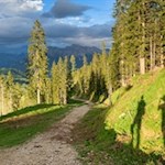 Der Rückweg von den Latemarwiesen erfolgt auf dem Hinweg