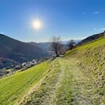 Zuletzt führt die Wanderung durch Wiesen nach Tiers zurück