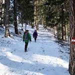 Zahlreiche Markierungen weisen den Weg auf den Lutterkopf