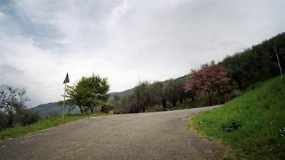 Die Strecke auf den Monte Brione windet sich in sieben Kehren nach oben