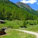 Durch urige Almwiesen zur gemütlichen Tiefrastenhütte