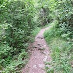 Der Partschinser Sagenweg wird von Macchia und Laubbäumen umsäumt