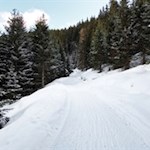 Im sanften Anstieg zur Sattelbergalm