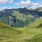 Der Rückweg vom Seefeldsee erfolgt auf dem Hinweg