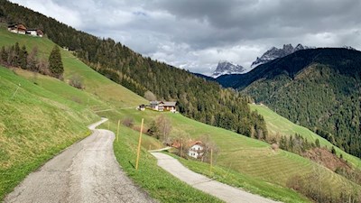 Sanft zieht sich der Panoramaweg über die Aferer Sonnenhänge
