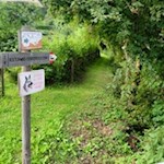 Die Wanderwege in Lüsen sind bestens ausgeschildert