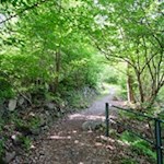 Auf dem Carl Toldt Weg