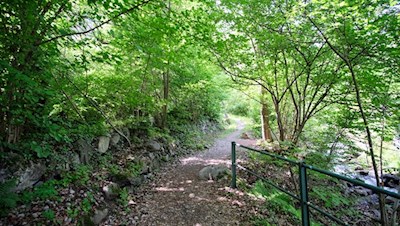 Auf dem Carl Toldt Weg