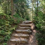 Durch den schattenspendenden Wald in Richtung Gönneralm