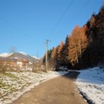 Die Aufhofner Straße führt am Oberhoferhof vorbei