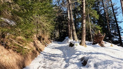 Winterwanderung bei St. Ulrich