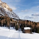 Diese Wanderung führt durch eine idyllische Winterlandschaft