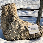 Der Naturerlebnisweg gibt Einblicke in verschiedene Gesteinsarten