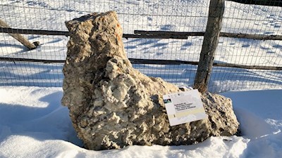 Der Naturerlebnisweg gibt Einblicke in verschiedene Gesteinsarten