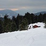Abstieg durch den verschneiten Wald zur Halslhütte