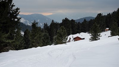 Abstieg durch den verschneiten Wald zur Halslhütte