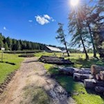 La malga Bel Riposo si trova al centro di una vasta radura.