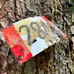 Der Weg Nr. 28A führt vom Mühlwalder Stausee zur Weizgruberalm