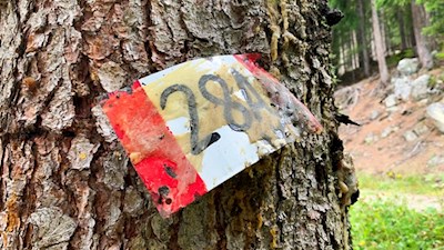 Der Weg Nr. 28A führt vom Mühlwalder Stausee zur Weizgruberalm