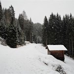 Leise rieselt der Schnee...