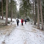 Im gemütlichen Anstieg in Richtung Bacherhütte