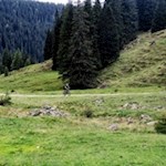 Mit dem Mountainbike zur Silvesteralm