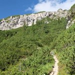 Im steten Anstieg auf den Hochalpenkopf