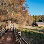 Wandeln auf den Spuren Sigmund Freuds