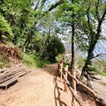 Längs des Brandiswaalweges laden Sitzbänke zum Inne- und Ausschauhalten ein