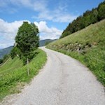 Zunächst führt die Wanderung über die asphaltierte Höfestraße