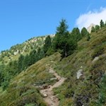 Hinter der Oberwangeralm steigt der Weg zunächst über Grashänge an