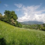 Durch blumenfrohe Wiesen nach Prösels