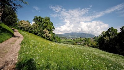 Durch blumenfrohe Wiesen nach Prösels