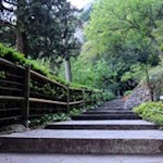The path from the lower to the upper grotto is lined with flowers