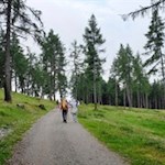 Durch den lichten Lärchenwald zur Moschwaldalm und zur Maiser Alm