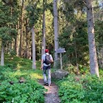 Der Rückweg von der Schafstallhütte führt durch den Wald
