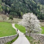 Sanft-schlängelt-sich-der-Albeinser-Themenweg-durch-die-Frühlingslandschaft