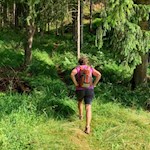 Vom Mühlwalder Stausee zur Weizgruberalm