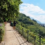 Spazieren auf dem Tappeinerweg