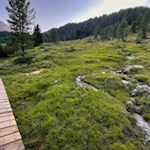 Bretterstege geleiten trockenen Fußes über moorige Abschnitte