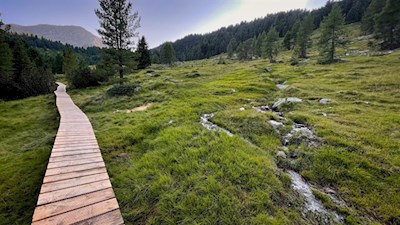 Bretterstege geleiten trockenen Fußes über moorige Abschnitte